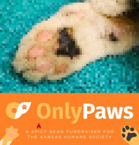 OnlyPaws